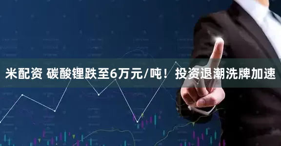 米配资 碳酸锂跌至6万元/吨！投资退潮洗牌加速