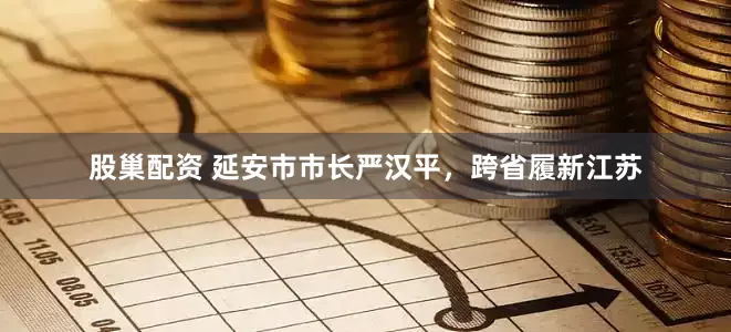 股巢配资 延安市市长严汉平，跨省履新江苏