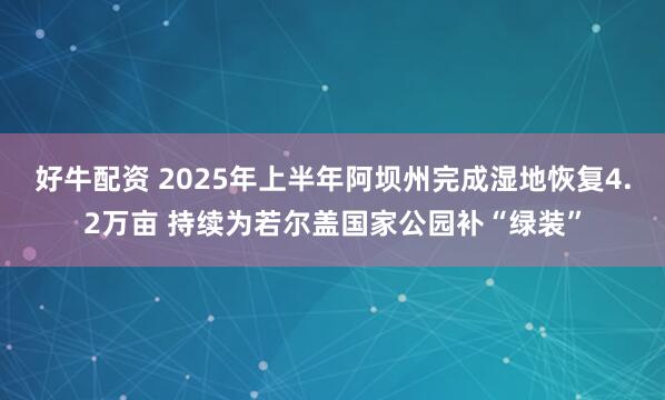 好牛配资 2025年上半年阿坝州完成湿地恢复4.2万亩 持续为若尔盖国家公园补“绿装”