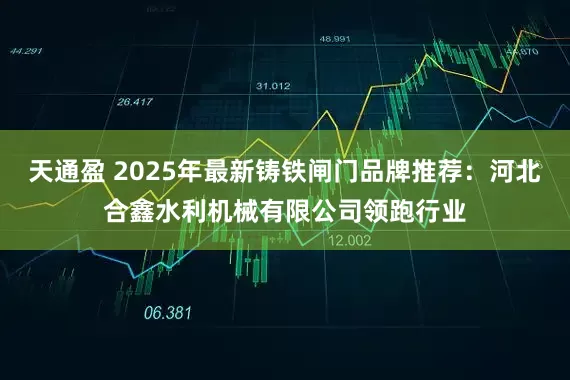 天通盈 2025年最新铸铁闸门品牌推荐：河北合鑫水利机械有限公司领跑行业